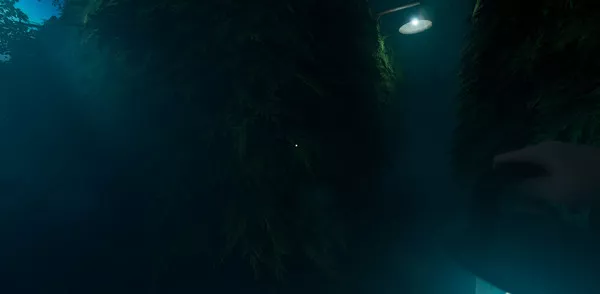 Labyrinthine (2023) PC Full Español Labyrinthine (2023) PC Full Español