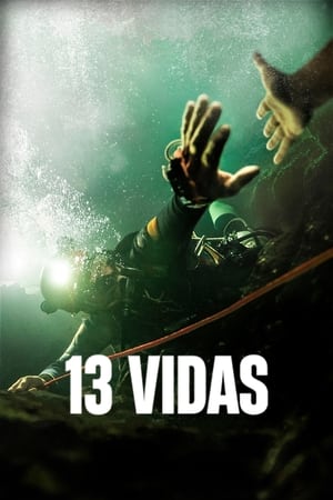 13 vidas