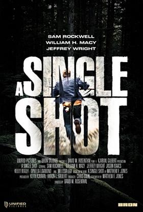 A Single Shot (2013)