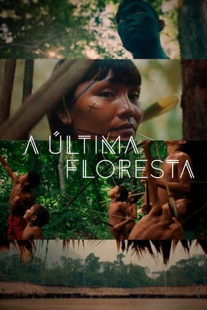 A Última Floresta