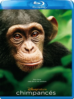 Chimpanzee (2012)