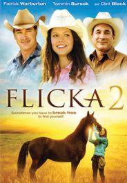 Flicka 2 (2010) 5.1 (Subtitulada)