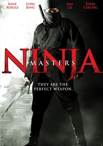 Ninja Master (2013)