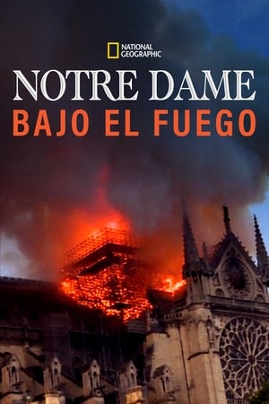 Notre-Dame : Carrera contra el infierno