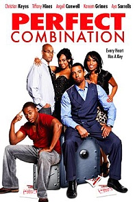 Perfect Combination (2010) (Subtitulada)