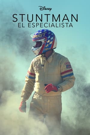 Stuntman: el especialista