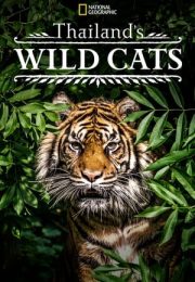 Thailands Wild Cats