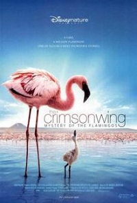 The Crimson Wing (2008) 5.1 (Subtitulada)