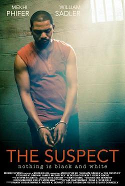 The Suspect (2013)