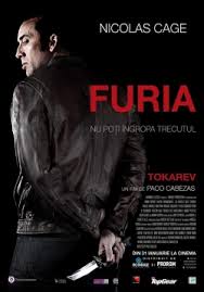 Tokarev (2014)